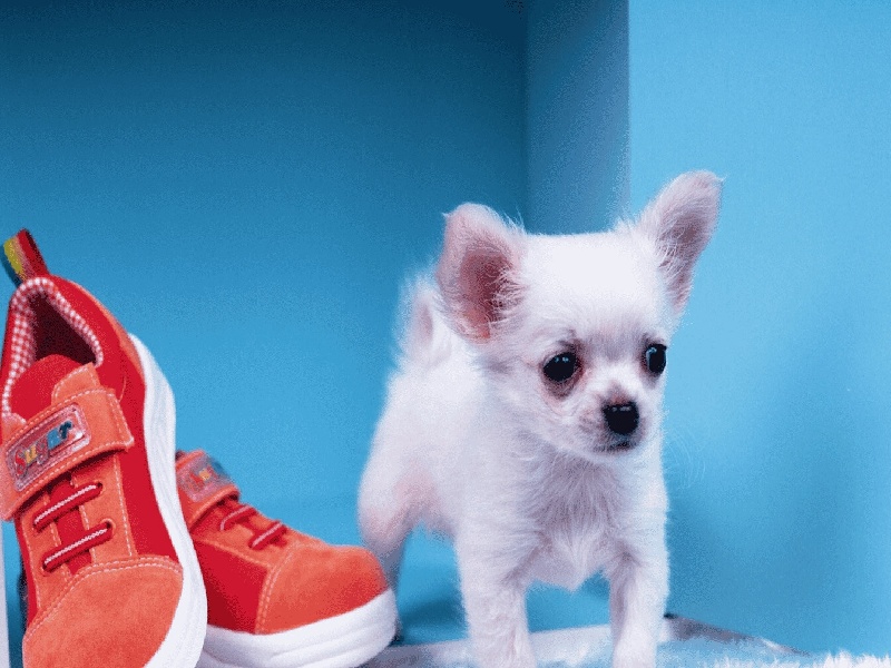 流感可以试管吗试管移植吃凉菜试管口石蜡封装